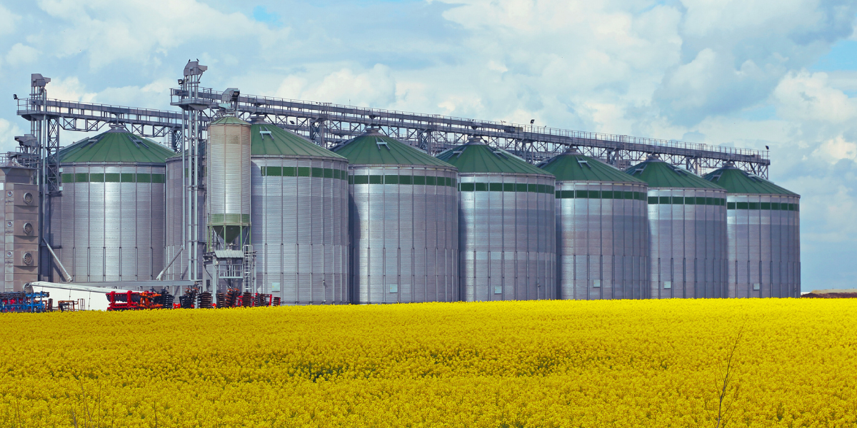 Automação no agronegócio: 5 aplicações que estão revolucionando o campo